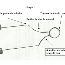 canard en tournage canard en tournage