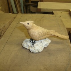oiseau en bois